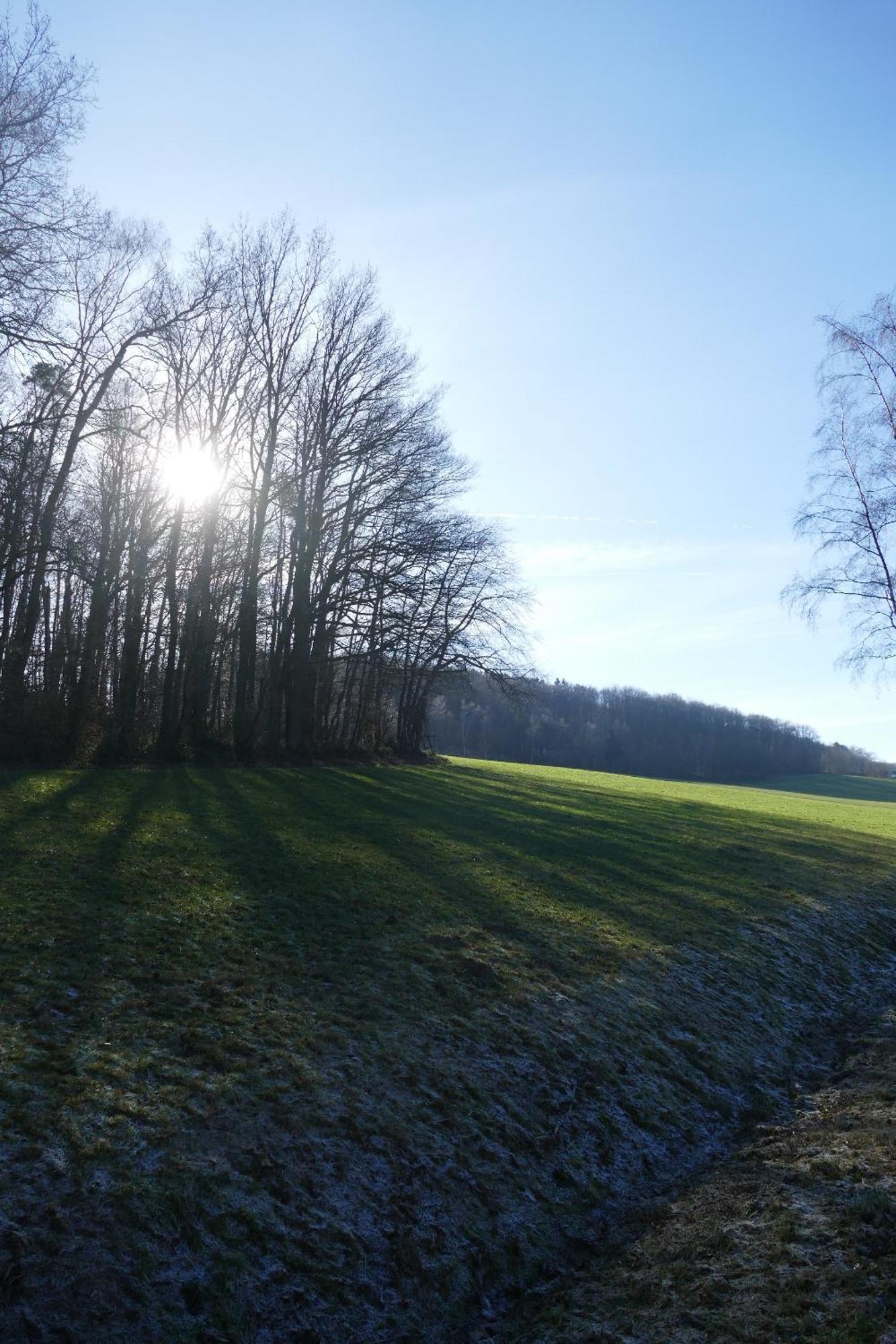 Ferienwohnung Hueppelroettchen Eitorf Esterno foto